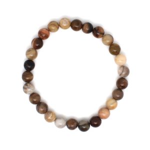 bois fossile 6 mm